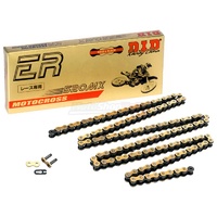 DID #520 RJ MX RACE CHAIN G&B